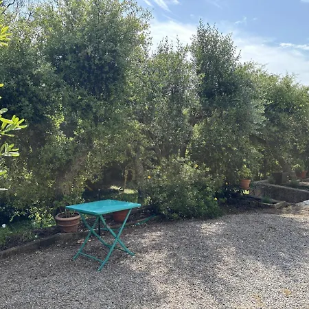 500m De La Aux Issambres - Rez De Jardin